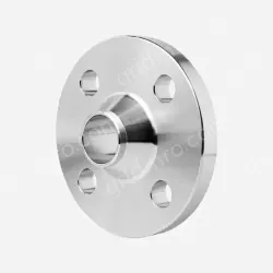 Companion Flange
